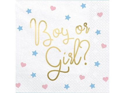 BOY OR GIRL