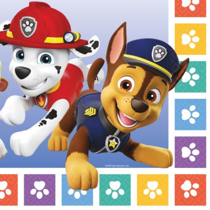 ΧΑΡΤΟΠΕΤΣΕΤΕΣ PAW PATROL