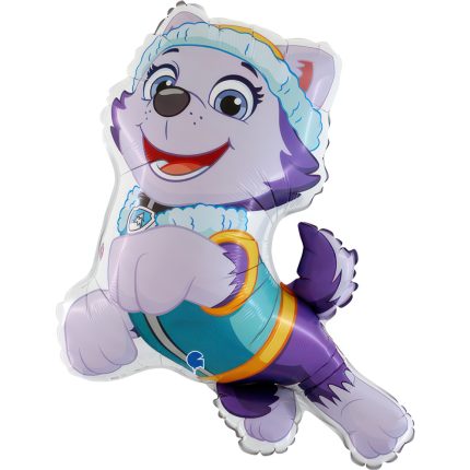 PAW PATROL EVEREST