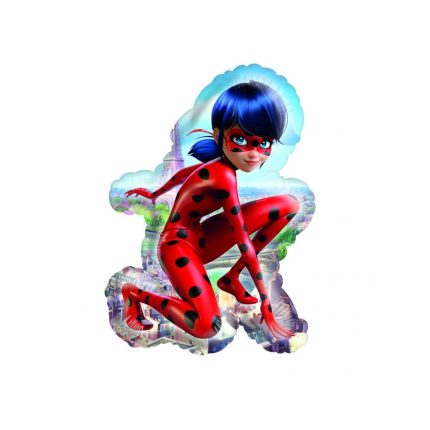 FOIL LADYBUG 1