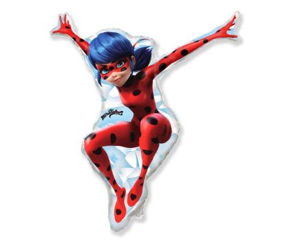 FOIL LADYBUG