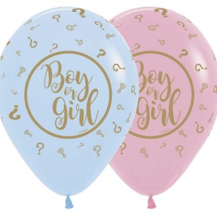 Gender Reveal Boy or Girl