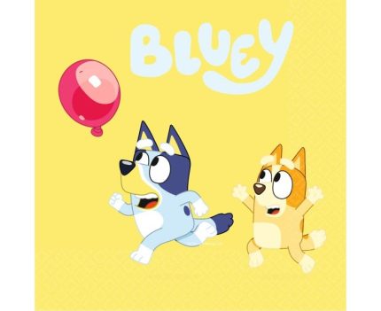 XARTOPETSETES BLUEY