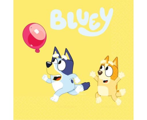 XARTOPETSETES BLUEY