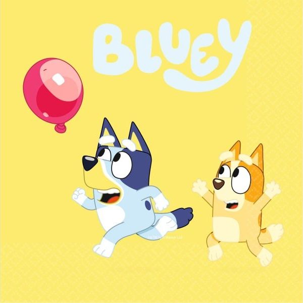 XARTOPETSETES BLUEY